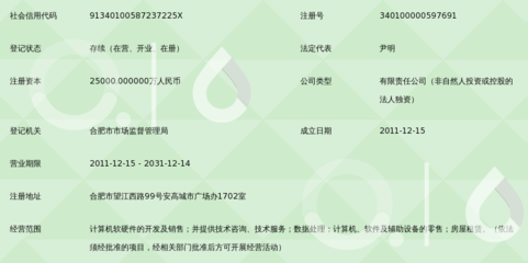 合肥大智慧信息技術 計算機軟硬件技術開發的創新引擎